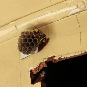 Železniční hřbitov 2019