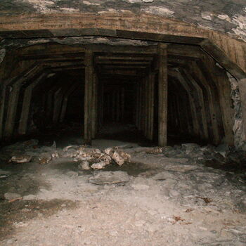 Richard Underground Factory