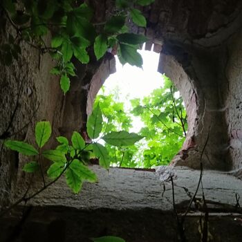 das Schloss, das jeder kennt...