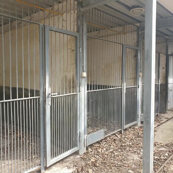 věznice nápravném zařízení nápravného zařízení