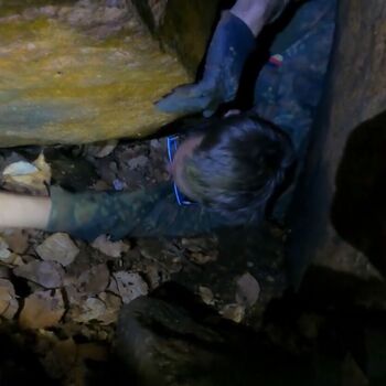 Schmale Galerie-Kletterpflanzen