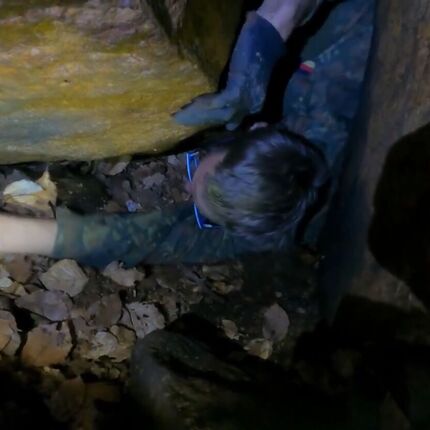 Schmale Galerie-Kletterpflanzen