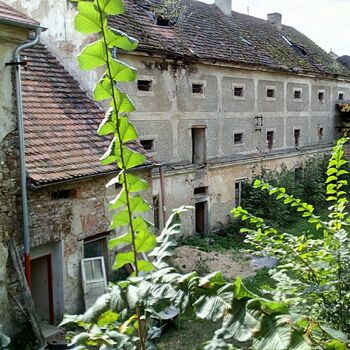 budova palác Architektura dům