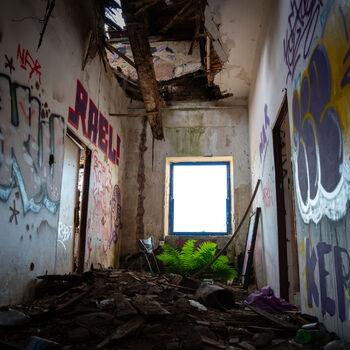 Abandoned liquor factory