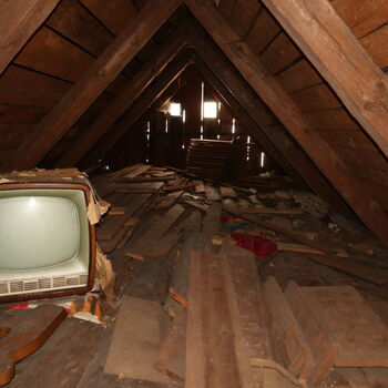 A grove in the borderlands.