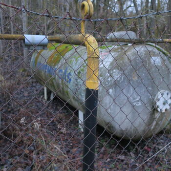 Barevná Drůbežárna