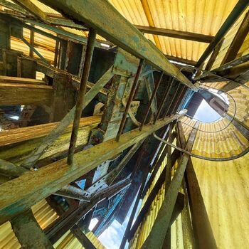 hory, DOLY, černý pes