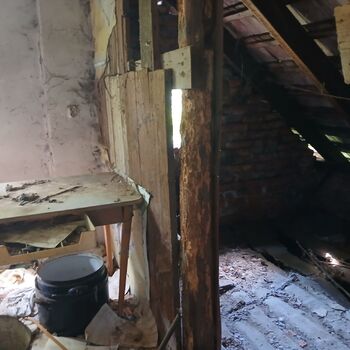 The house by the old vermin factory