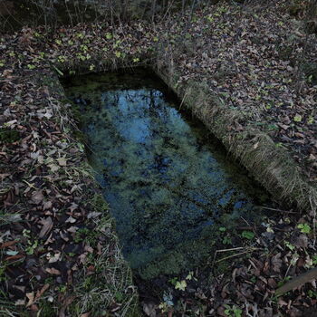 die eingestürzte Kapelle