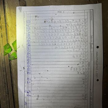 The abandoned sawmill