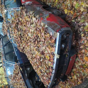 barrow handcart wheeled vehicle vehicle