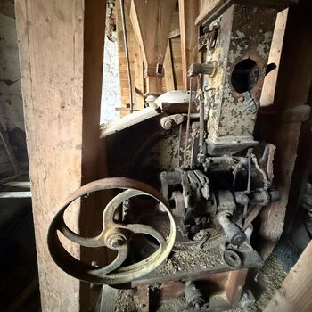 DDT, or the crocodile wasn't home