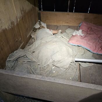 Dům v ovocné zahradě.