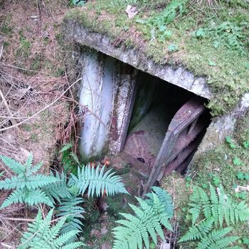 Bývalý vojenský prostor Radost