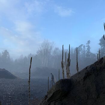 hory, DOLY, černý pes