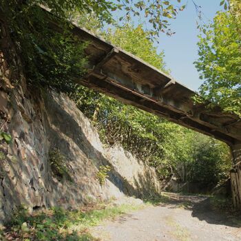 Spinning mill and spinning mill Spinning mill and spinning mill