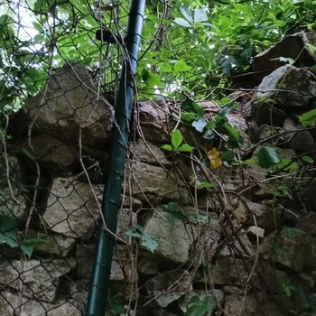 das Schloss, das jeder kennt...