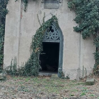 Friedhof 2022 Friedhof 2022