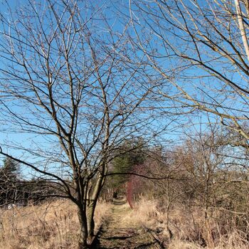 Trať nad kterou zlomil stát hůl Trať nad kterou zlomil stát hůl