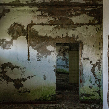 Landwirtschaftliche Fläche