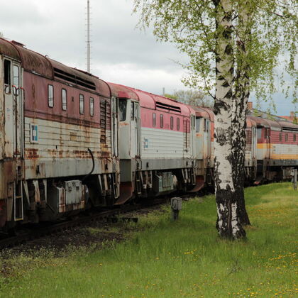 Cargo hřbitov, nejen bardotek