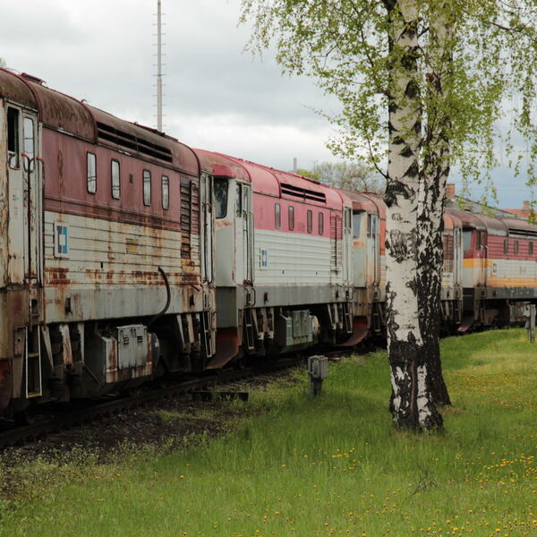 Cargo hřbitov, nejen bardotek