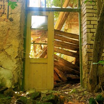 skleníkové budova struktura