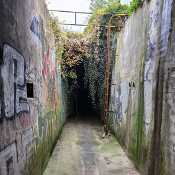 Dešťové stoky ⬇️