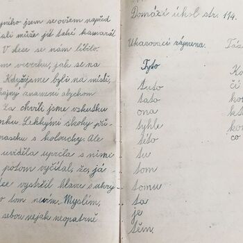 Spitzenschiff 9z10ti...