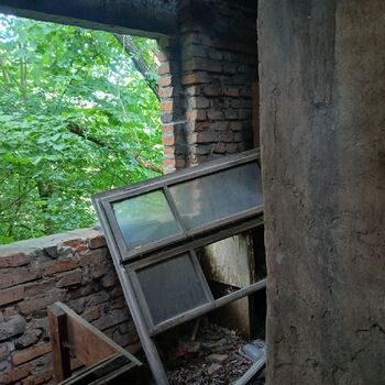 The house by the old vermin factory