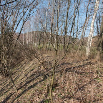 Vysoký násep v km 2,1 Vysoký násep v km 2,1