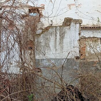 Lederfabrik und State Farm 2022