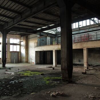 Die Dämmerung von Eleanor