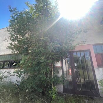 Čistírna odpadních vod