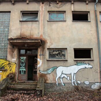 Zentrales Kraftwerk PŽS