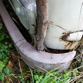 Už asi nevyjedou...