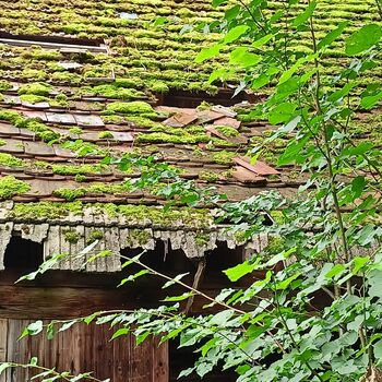 Spitzenschiff 9z10ti...