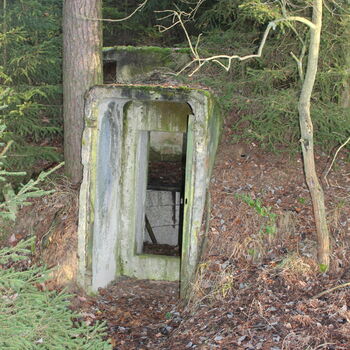 pay-phone telephone electronic equipment bird feeder device