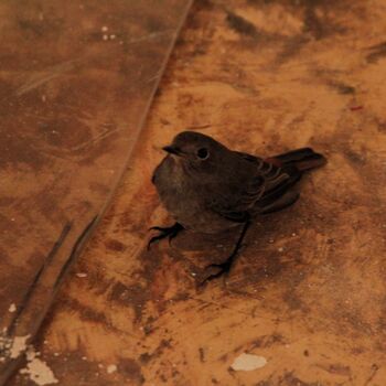 Kdysi světoznámá továrna na ruční utahovací nářadí 2023 Kdysi světoznámá továrna na ruční utahovací nářadí 2023