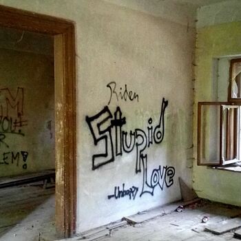 sgrafity dekorace staré zeď