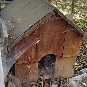 Opuštěný dům vraždy plně zachovalý