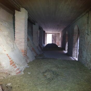 Buňka suterénu Architektura