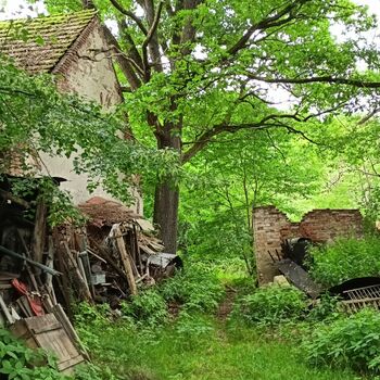 Spitzenschiff 9z10ti...