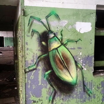 Barrow vozík kolová vozidla vozidlo meloun