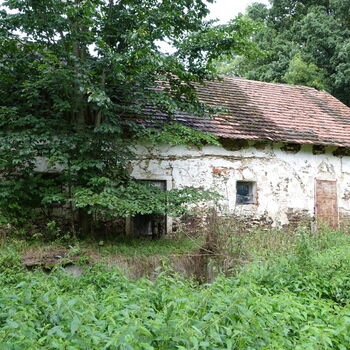 Už asi nevyjedou...