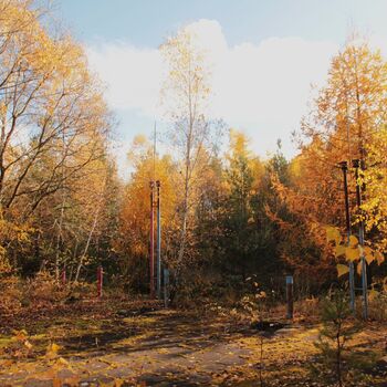 VEGA Group VEGA Group