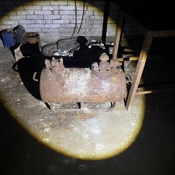 hory, DOLY, černý pes