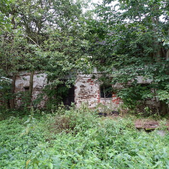 Už asi nevyjedou...