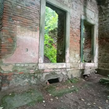 ruins of the blue house