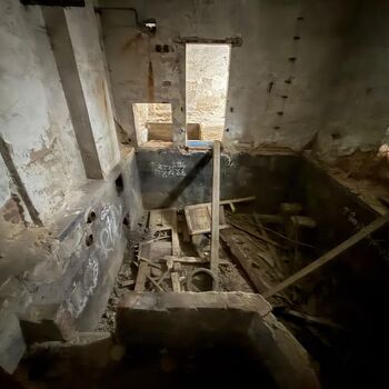 Aunt Omega, or I Believe in Fairies